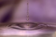 22nd Feb 2011 - water droplets - reprise