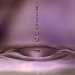 water droplets - reprise by lbmcshutter