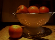 22nd Feb 2011 - Ready, steady- apple pie.