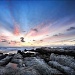 Monterey Sunset -- Asilomar Beach by pixelchix