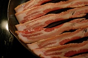 21st Feb 2011 - Bringing Home the Bacon…Again!