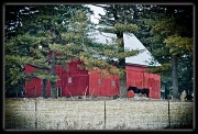 22nd Feb 2011 - Horse Barn