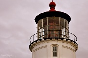 22nd Feb 2011 - Umpqua River Lighthouse