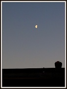 24th Feb 2011 - Half Moon
