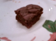 23rd Feb 2011 - Brownie on my Plate 2.23.11