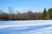 23rd Feb 2011 - The field.