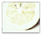 24th Feb 2011 - Lemon Light
