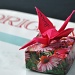 "Ornithological" Origami? by Weezilou