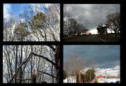 25th Feb 2011 - Windy Stormy Day