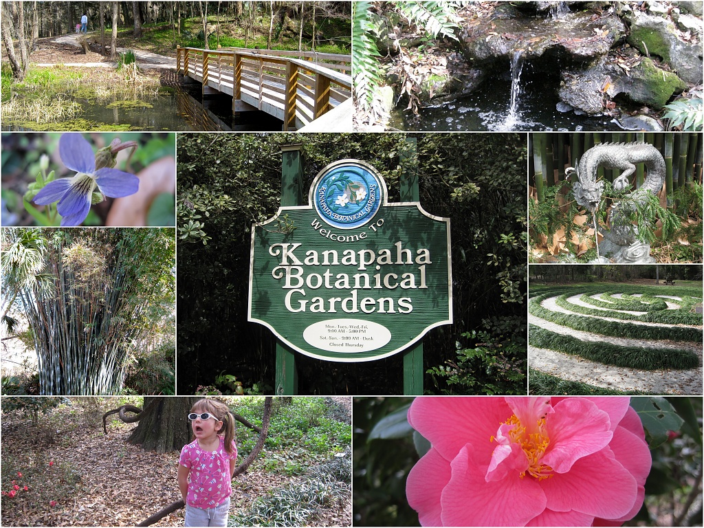 Kanapaha Botanical Gardens by allie912