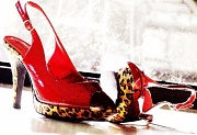 27th Feb 2011 - Killer heels