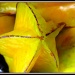 Star Fruit by denisedaly