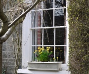 27th Feb 2011 - Window dressing