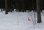 27th Feb 2011 - Orienteering in the snow IMG_3436