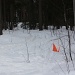Orienteering in the snow IMG_3436 by annelis