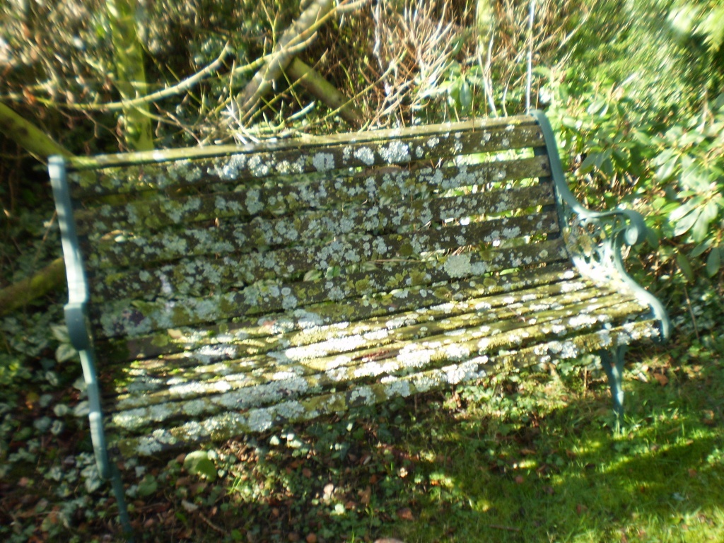 "The disappearing garden seat" by snowy