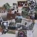 P =Photo's of past and present bring precious memories  by rrt