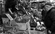 27th Feb 2011 - Flower Market