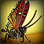 28th Feb 2011 - Early Butterfly