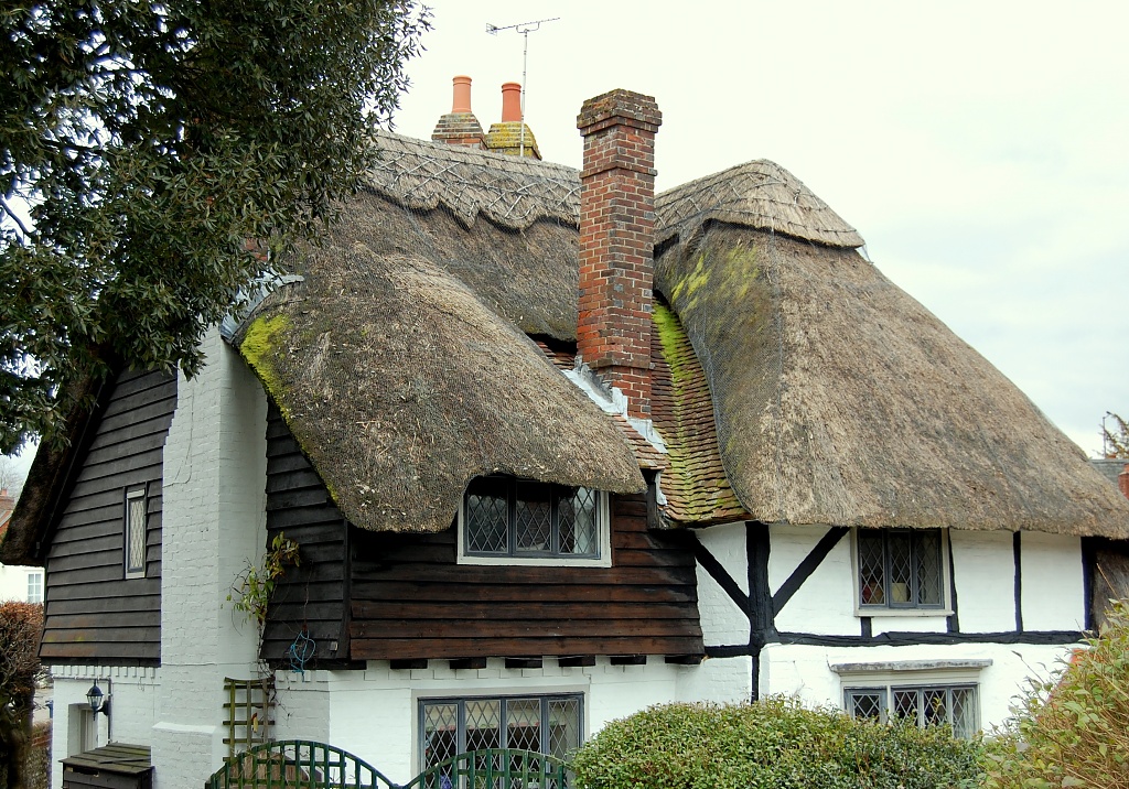Picturesque Thatched Cottage by andycoleborn