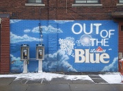28th Feb 2011 - Out of the Blue