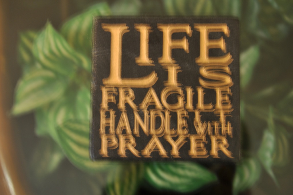 Life Is Fragile by mamabec