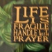 Life Is Fragile by mamabec