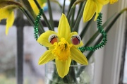 1st Mar 2011 - Charismatic Daffodil!!!
