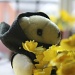 Daffodilian Debut! by daffodill