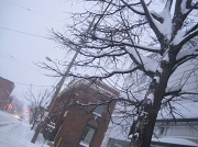 2nd Feb 2011 - The great Groundhog Day blizzard