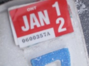 31st Jan 2011 - Jan 31 - License renewed