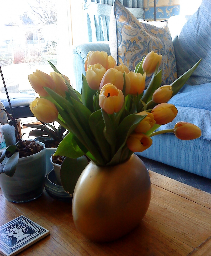 tulips from a friend by sarah19