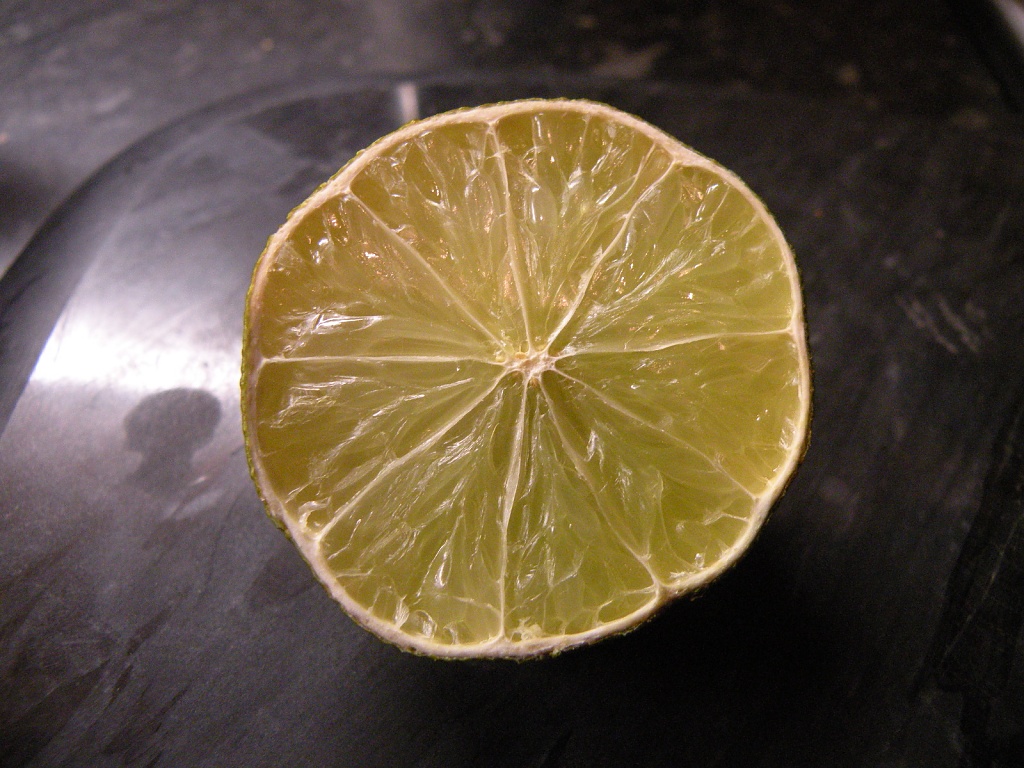 Lime (inside of) by manek43509