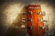 3rd Mar 2011 - Melody