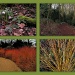 365 The colours of Anglesey Abbey by judithdeacon