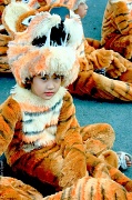 5th Mar 2011 - "Little Tiger"