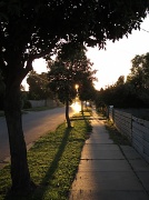 5th Mar 2011 - Sunrise street