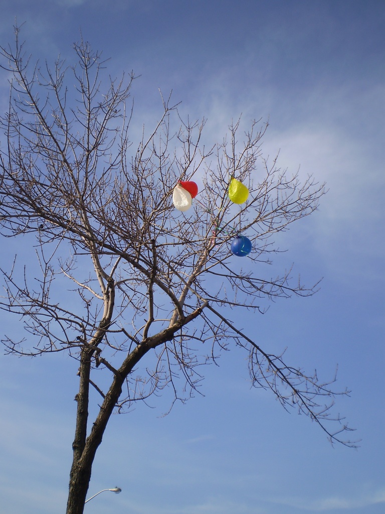 primary colours and white by summerfield