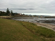 6th Mar 2011 - Shellharbour