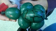 5th Mar 2011 - Balloon Turtle