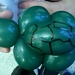 Balloon Turtle by ellesfena