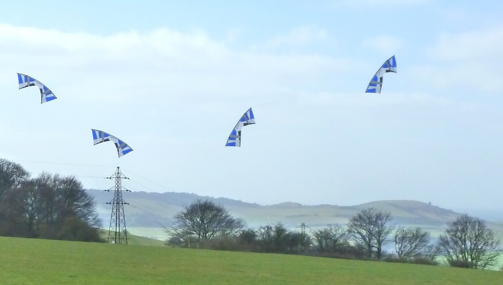 Kites over Dunstable Downs by dulciknit