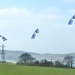 Kites over Dunstable Downs by dulciknit