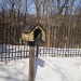 mailbox  by summerfield