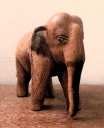 7th Mar 2011 - Elephant