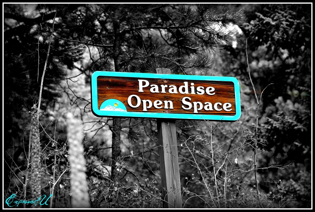 Open Space by exposure4u