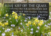 10th Mar 2011 - Please Keep Off The Grass
