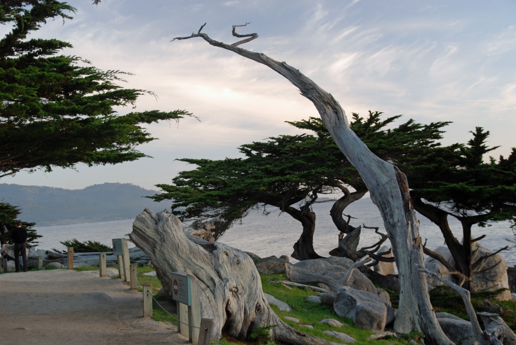 Monterey, CA by graceratliff