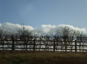 10th Mar 2011 - Nearly home. 