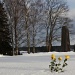 365-IMG_1257 Roses on the snow by annelis